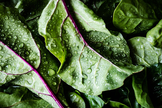 Lenten Recipe Series: Greek Spinach & Rice (Spanakorizo)